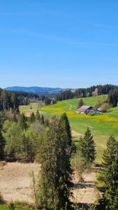 a green field with trees and a house in the distance at Ferienwohnung Dorfleben in Weiler-Simmerberg +8 photos