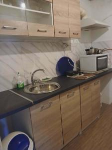 a kitchen with a sink and a microwave at Anemos Studios in Vassilias