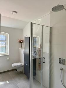 a bathroom with a toilet and a glass shower at Ferienwohnung 'kommodig' nahe der Eider in Delve
