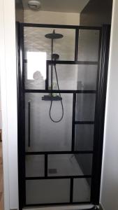 a shower in a room with a glass door at Le Mans Changé GP 24H DU MANS in Changé