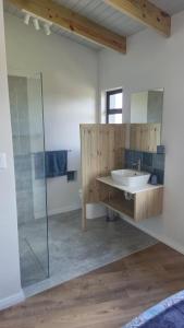 a bathroom with a sink and a glass shower at Seals Tides - sleeps 12 in Cape St Francis +26 photos