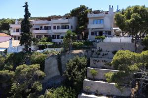 a house on a hill with trees and bushes at ALKYONI in Skala
