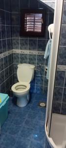 a blue tiled bathroom with a toilet and a shower at Vila Sofija in Vinci +19 photos