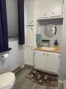 a bathroom with a toilet and a sink at Condo DidiPier in La Tuque