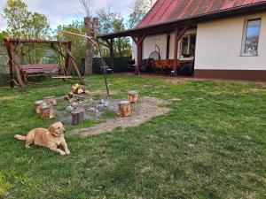 a dog laying in the grass in a yard at Apartament Wiejska Sielanka in Ryn
