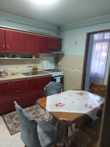 a kitchen with a table and chairs and a sink at Emilia's Dreamhouse in Gura Humorului +1 photo