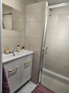 a bathroom with a sink and a shower at Apartament Wiejska Sielanka in Ryn
