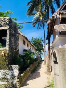 a street in front of a building with a palm tree at Villa Milu in Jambiani