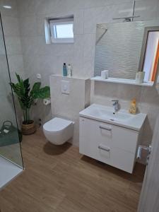 a bathroom with a sink and a toilet and a mirror at Apartments Elvira in Sveta Nedelja +53 photos