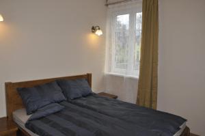 a bed in a bedroom with a window at Retro Ķemeri in Jūrmala