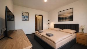 ein Schlafzimmer mit Bett und Flachbildfernseher in der Unterkunft HLBOKÉ Hotel & Lesopark in Bojnice