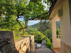 an entrance to a house with a stone wall at Garden Home near Osum Canyon & Cooking Experience in Çorovodë