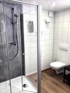 ein Badezimmer mit Dusche und Toilette in der Unterkunft Ochsen Hardheim in Hardheim