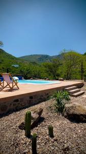 a swimming pool with a chair and a cactus at Casa Lavanda in San Miguel de Allende