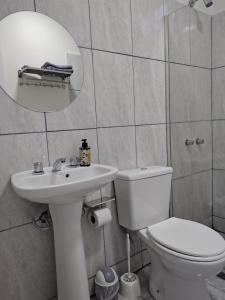 a bathroom with a toilet and a sink and a mirror at Moderno Estudio PB - Entrada Autónoma, Equipado y Cerca de Todo in Mendoza +21 photos