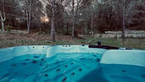a skateboard ramp in the middle of the water at suite romantique jacuzzi & piscine privée en pleine forêt in Saint-Zacharie +5 photos