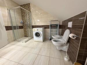 a bathroom with a toilet and a washing machine at Attic Apartment in Kočovce +5 photos