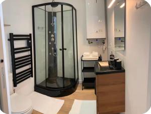 a bathroom with a shower and a toilet and a sink at Ourmes 1 Apartment in Guipry-Messac