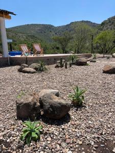 a gravel yard with two chairs and rocks at Casa Lavanda in San Miguel de Allende