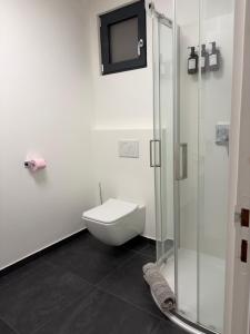 a bathroom with a toilet and a glass shower at Studio de standing in Malakoff +12 photos