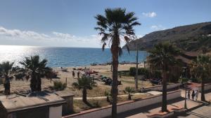 a view of a beach with palm trees and the ocean at La casa del professore libeccio in Nicotera Marina