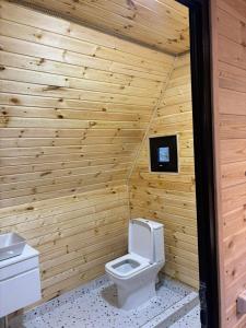 a bathroom with a toilet in a wooden wall at Sisters House in Borjomi