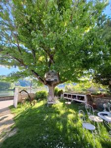 a tree with chairs and a table under it at chambre pour 2 personnes in Sablons