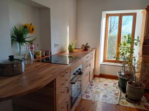 a kitchen with a wooden counter top and a window at Les Petites Maïs in Nantes-en-Rattier