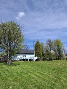 a tree in a field in front of a house at Górska Otulina in Wilkowisko