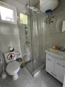 a bathroom with a shower and a toilet and a sink at Villa Hristina in Elshani +22 photos