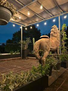 a statue of an elephant in a garden at night at MRE Goldsmith Polanco in Mexico City +33 photos
