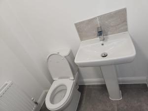 a bathroom with a sink and a toilet at Edinburgh Road Nuneaton in Moffat