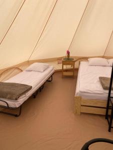 a room with two beds in a tent at Glamping-Dimbo in Krynica Zdrój +67 photos