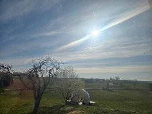 a dome in a field with the sun in the sky at Kupoliškės in Verbiškės