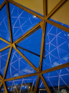 a view from the inside of a glass ceiling at Kupoliškės in Verbiškės