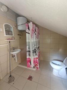 a bathroom with a toilet and a sink at Anika apartmani in Tjentište
