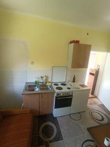 a small kitchen with a stove and a sink at Anika apartmani in Tjentište