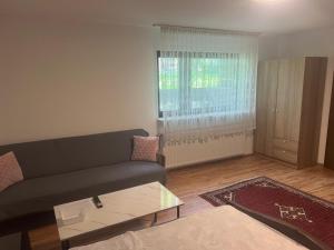 a living room with a couch and a window at LUNA in Bad Säckingen
