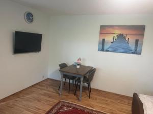 a living room with a table and a tv at LUNA in Bad Säckingen