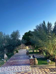 a cobblestone path in a garden with a palm tree at Gite d étape Khettara Oasis in Er Rachidia