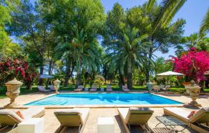 a swimming pool with chairs and palm trees at Santa Lucia in Binissalem