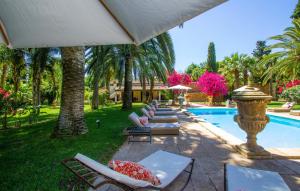 a row of lounge chairs next to a swimming pool at Santa Lucia in Binissalem