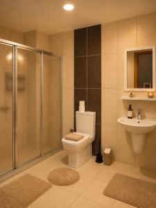a bathroom with a toilet and a shower and a sink at Grand Sur Butik Otel in Diyarbakır