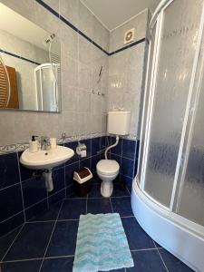 a bathroom with a sink and a toilet and a shower at Vila Simic in Soko Banja +49 photos