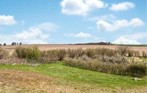 a field with grass and bushes in a field at 3 Bedroom Stunning Home In Bedsted Thy in Bedsted Thy +5 photos