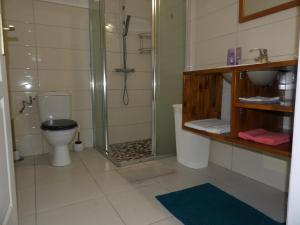 a bathroom with a shower and a toilet and a sink at LAPALOMADESANSEs in Les Anses-dʼArlets +7 photos