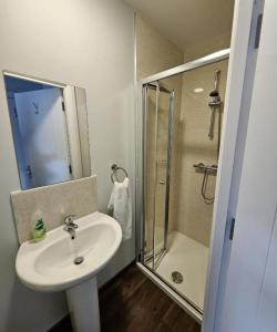 a bathroom with a sink and a shower at The Roost in Derry Londonderry +108 photos