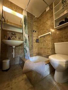 a bathroom with a toilet and a sink and a shower at Alpine Nest Tiltlis, Garden, Central, Lucerne in Engelberg +41 photos