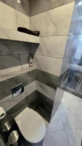 a bathroom with a toilet in a room at Spanko u Jadzi in Wałbrzych +20 photos