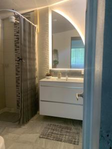 a bathroom with a sink and a mirror and a shower at Cabaña Corolaine in San Francisco